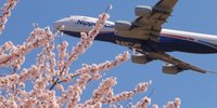 【2018年】成田空港はすぐそこ！【さくらの山公園】で迫力の飛行機と桜を見よう！