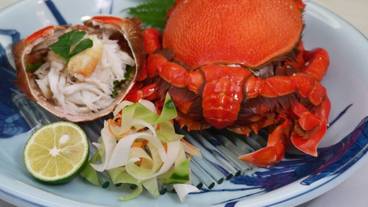 食事・飲み物 / 1