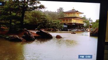 観光スポット / 26