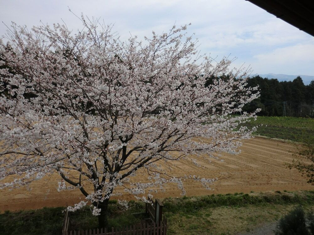 バルコニーからの眺望