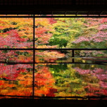 ここから見る景色は、何だか神秘的。窓からの眺めが美しい京都の寺院5選