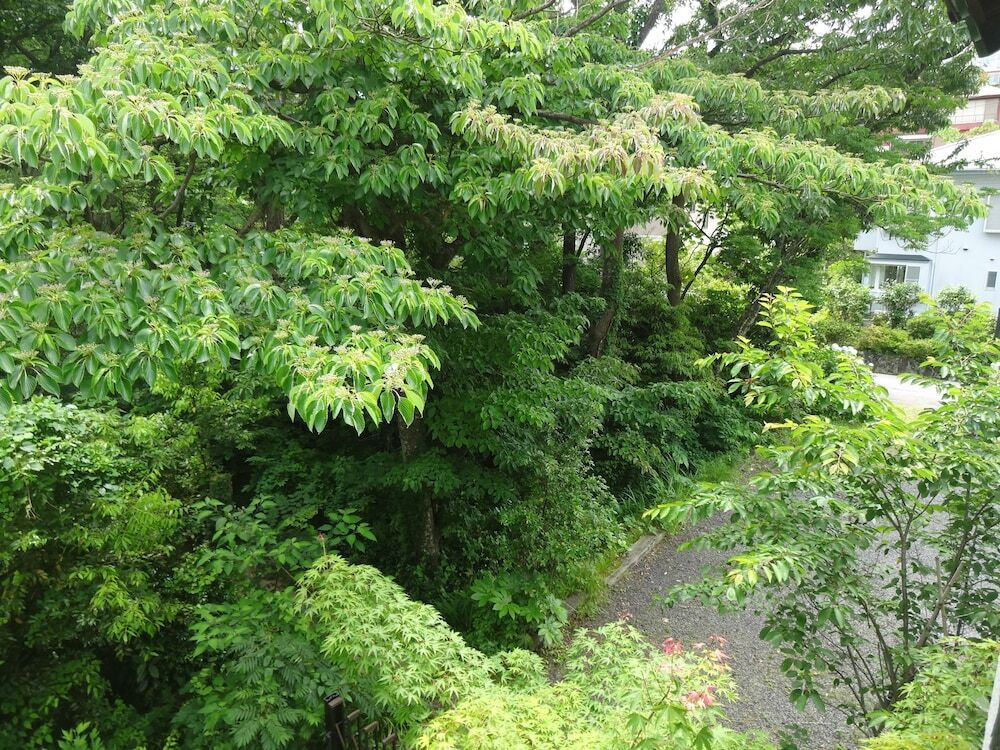 ストリート ビュー