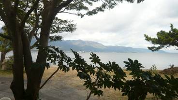 マウンテン ビュー / 4