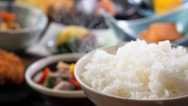 朝食ビュッフェ / 3