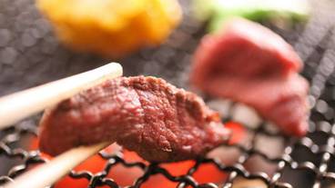 レストラン / 11