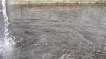 屋内スパ浴槽 / 2