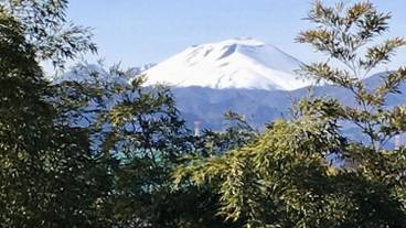 マウンテン ビュー / 8