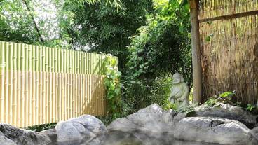 施設の敷地 / 11