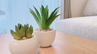 スタジオ　バルコニー付 204号室