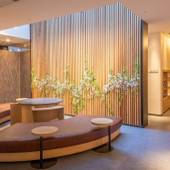 ホテル京阪 京都駅南(京都府 ビジネスホテル) / 2