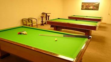 ビリヤード / 15