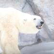 リーズナブルに非日常気分でリフレッシュ♩上野で楽しむ1泊2日の小旅行プラン／東京都