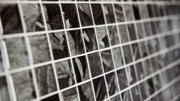 内装の詳細 / 12