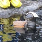 箱根園水族館（ハコネエンスイゾクカン）