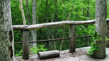 施設の敷地 / 26