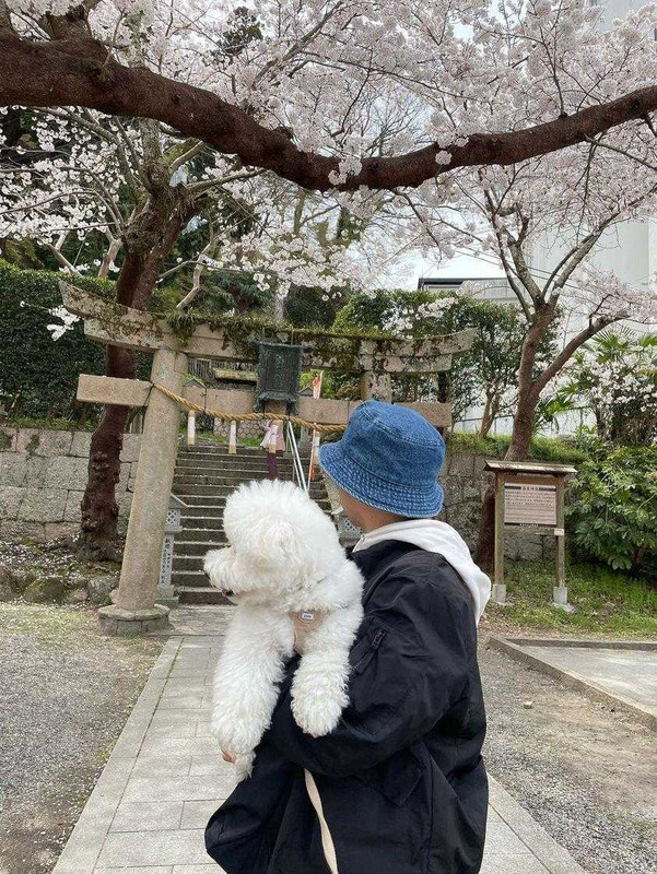 bichon_monetさんの写真 / 1