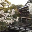 鶴巻温泉 元湯 陣屋