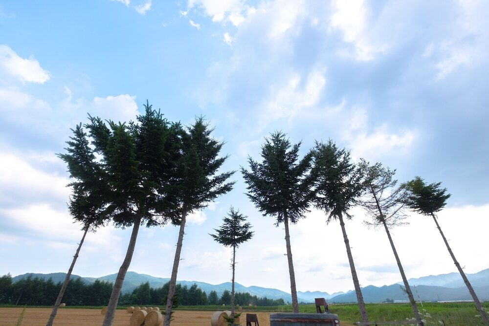 部屋からの景観