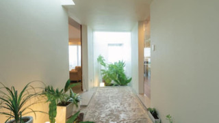 雲のシーサールーム