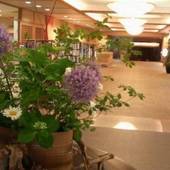 日本三景 松島 花ごころの湯 新富亭（宮城県 旅館） / 2