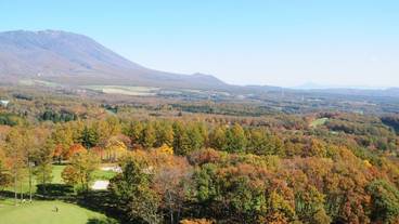 マウンテン ビュー / 11