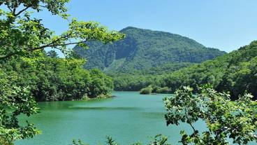 観光スポット / 10