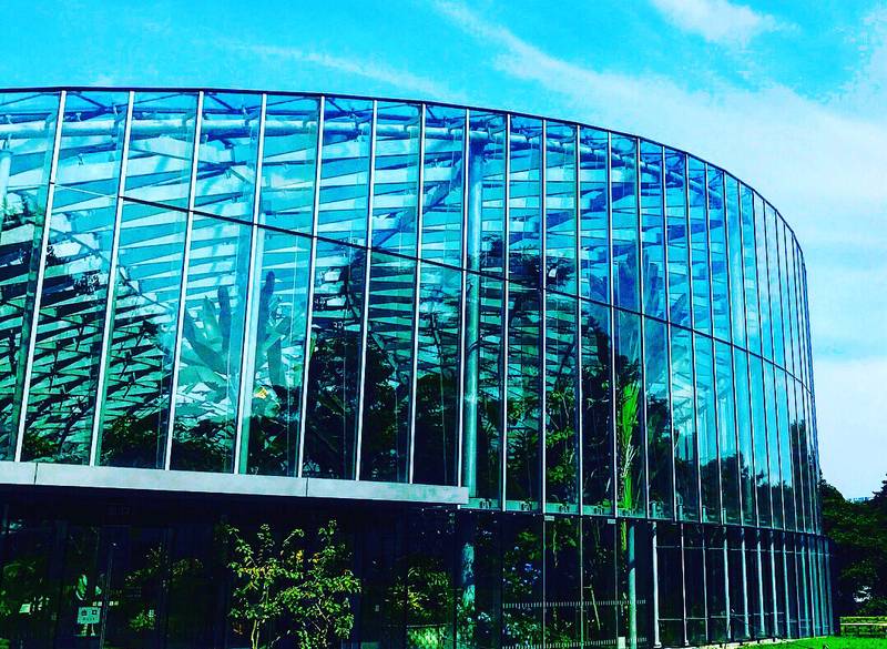 新宿御苑・温室 / 2