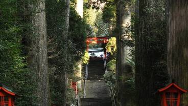 観光スポット / 12