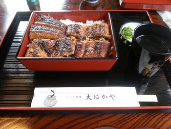 「大はかや」料理 881518 