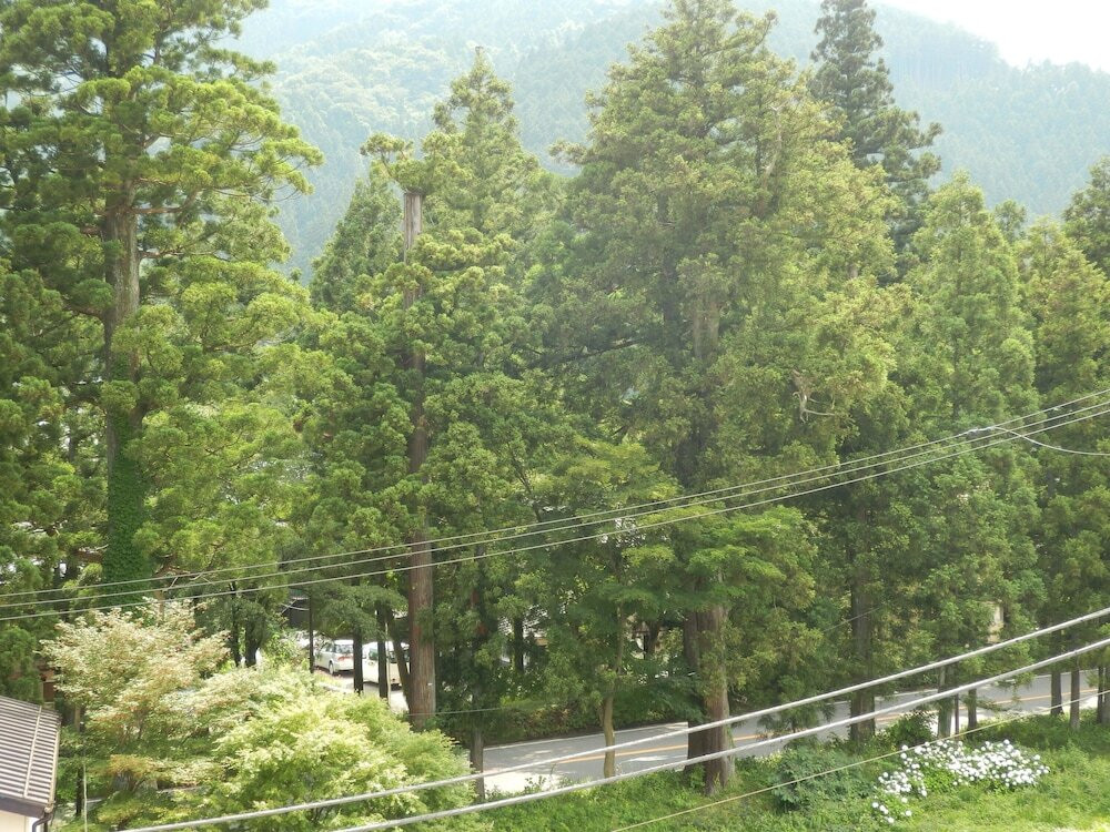 部屋からの景観
