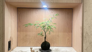 和室 （素泊まり）　チェックイン：7時まで