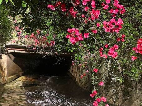 Rakuten STAY 熱海 / 5