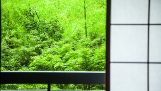 和室スタンダードルーム