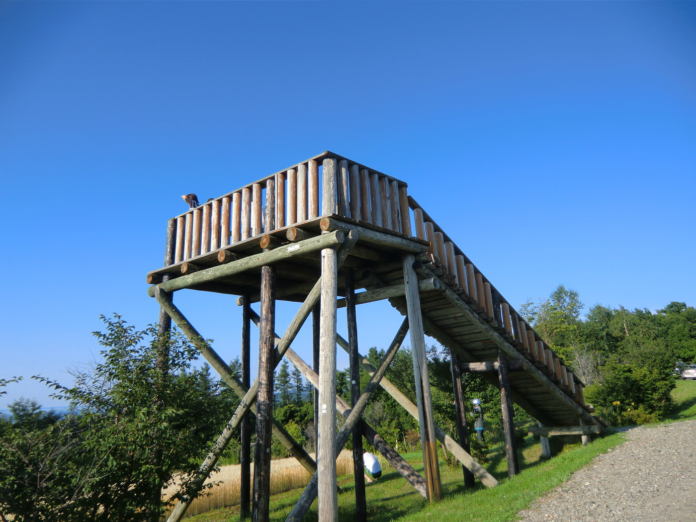3.天に続く道(斜里町南3号・東10線)1255329