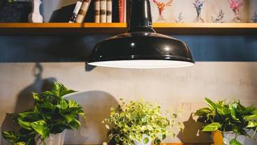 リビング エリア / 33