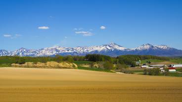 部屋からの景観 / 27
