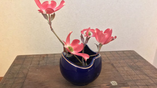 和室 部屋番号201