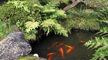 ガーデン ビュー / 10