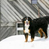 蔵王温泉 最上高湯 善七乃湯（旧：蔵王温泉 大平ホテル）（山形県 旅館） / 4