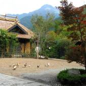 由布院温泉 ほてい屋（大分県 旅館） / 4