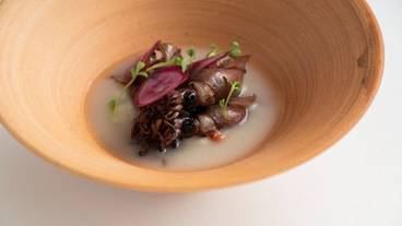 食事・飲み物 / 15