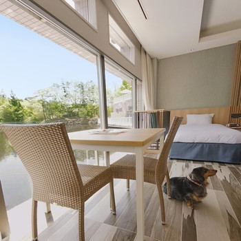 愛犬も同じお部屋に泊まれる宿で癒されよう3925834