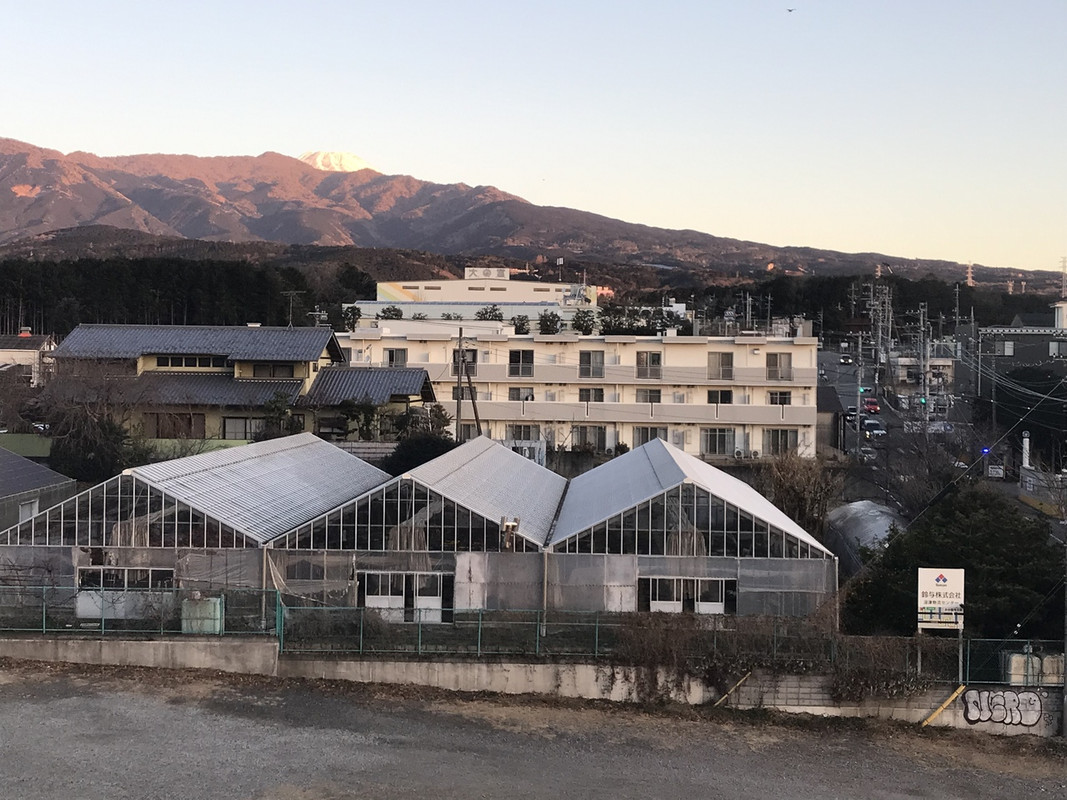 山側：中央部に少しだけ