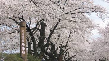 施設からの眺望 / 32