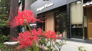 施設の入り口 / 29