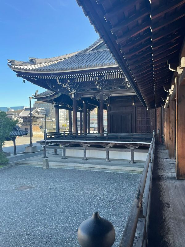 sakichoikasさんの写真 / 5