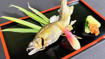 食事・飲み物 / 16