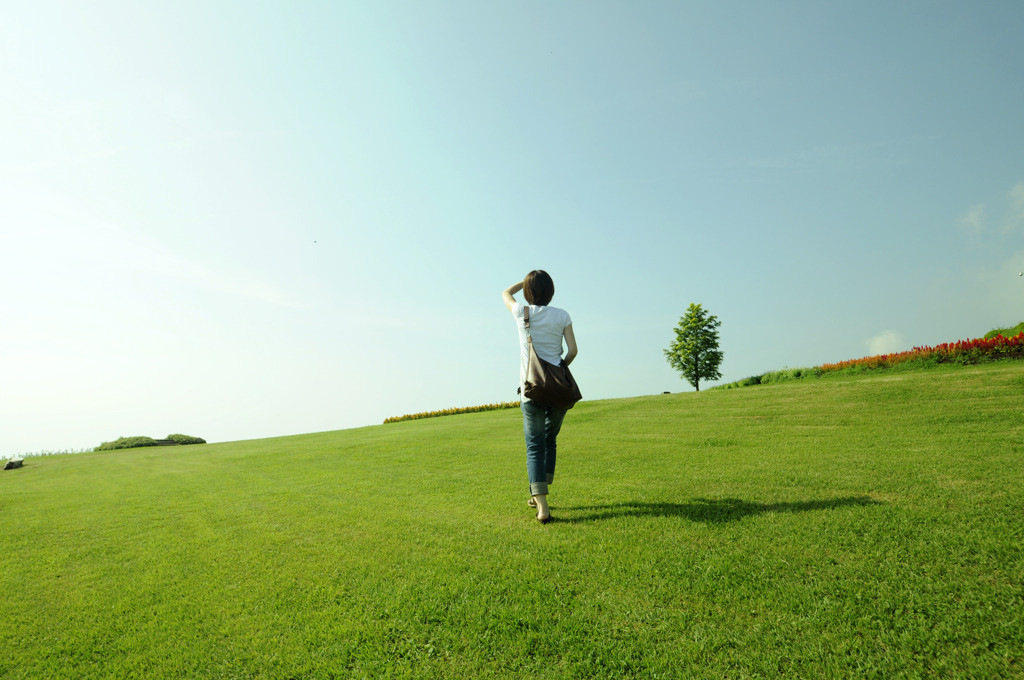 ここだけは押さえたい！3つの見どころ1663356