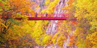 札幌都心から1時間未満！温泉で有名な定山渓の観光スポット15選