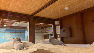 ファミリー ルーム